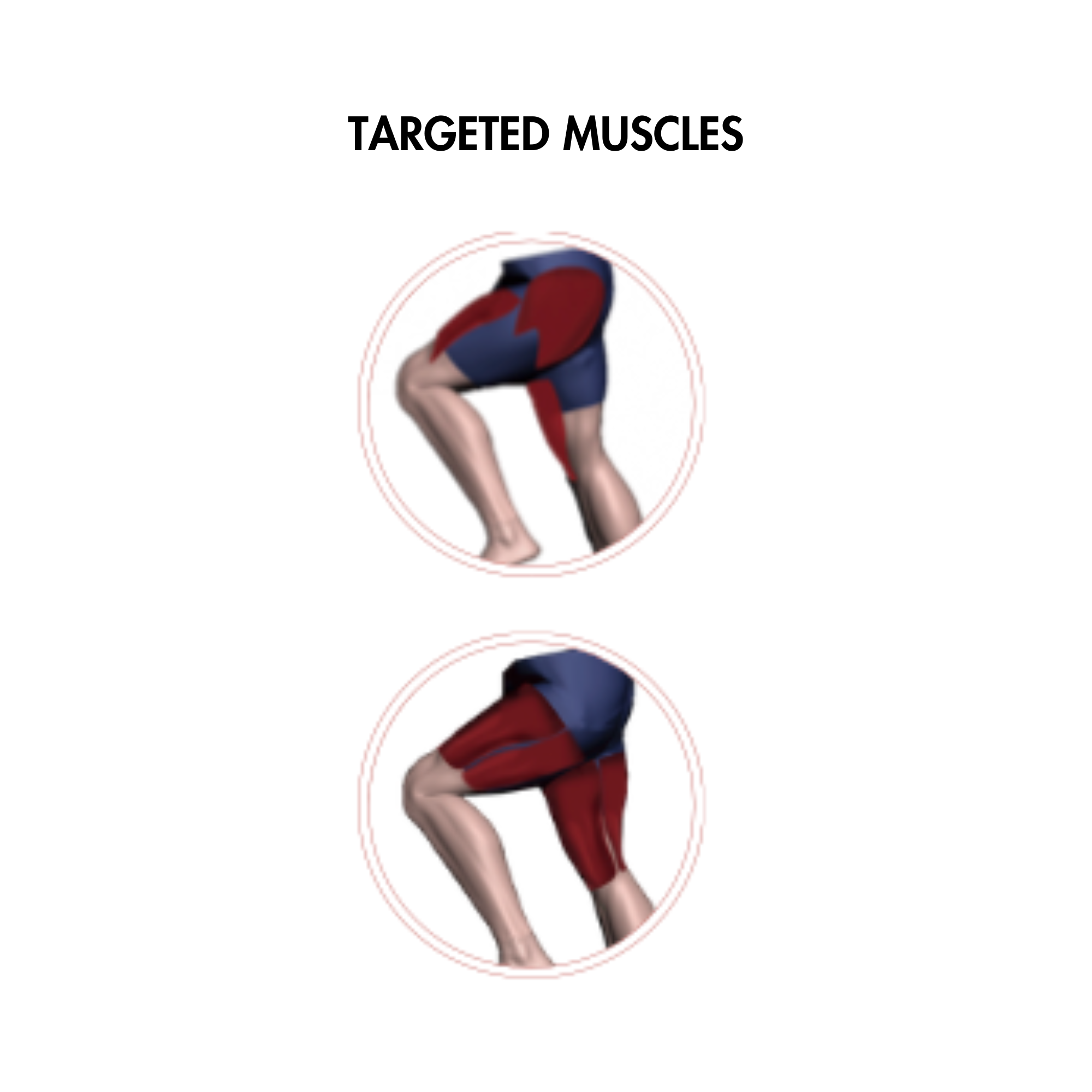 Muscle D Fitness Pro-Home Light Commercial Upright Bike - LED Display & Heart Rate Monitor with Adjustable Seat - On Wheels for Easy Movement