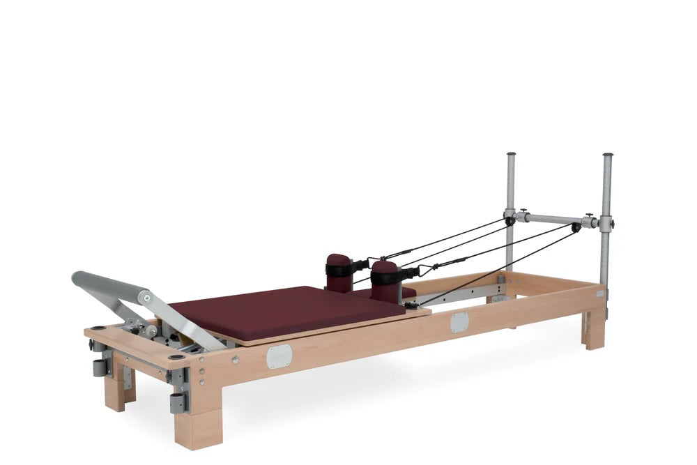 BASI Systems - Reformer
