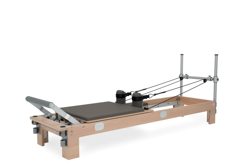BASI Systems - Reformer