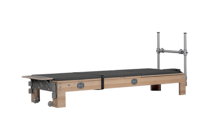 BASI Systems - Reformer